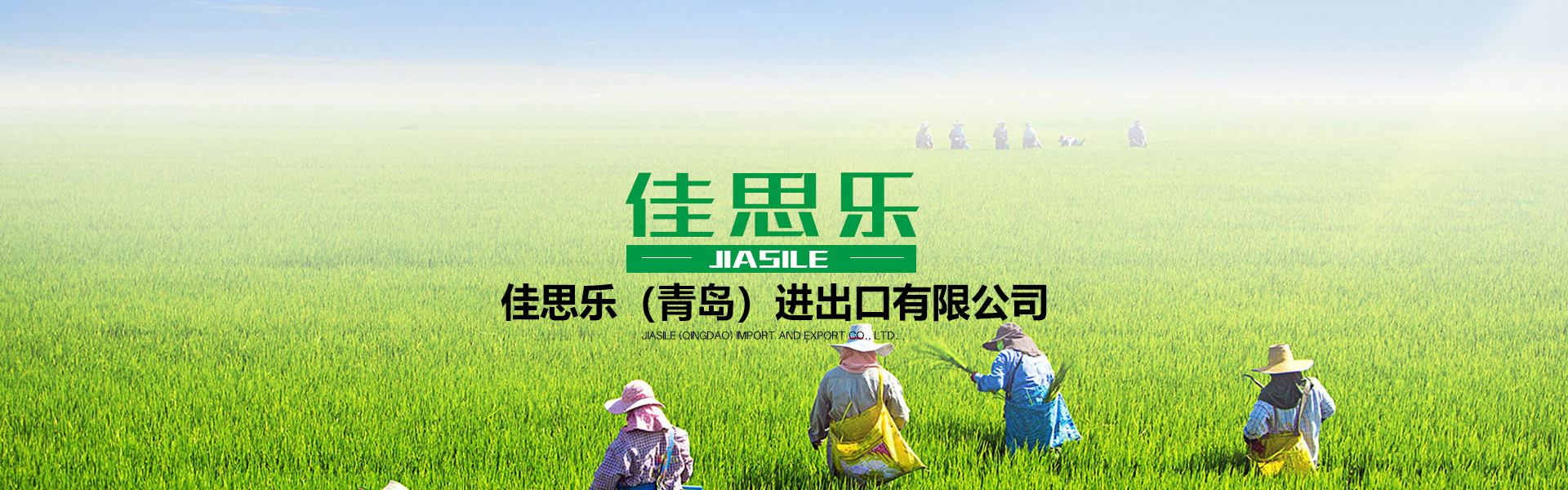 佳思樂(lè)（青島）進(jìn)出口有限公司banner