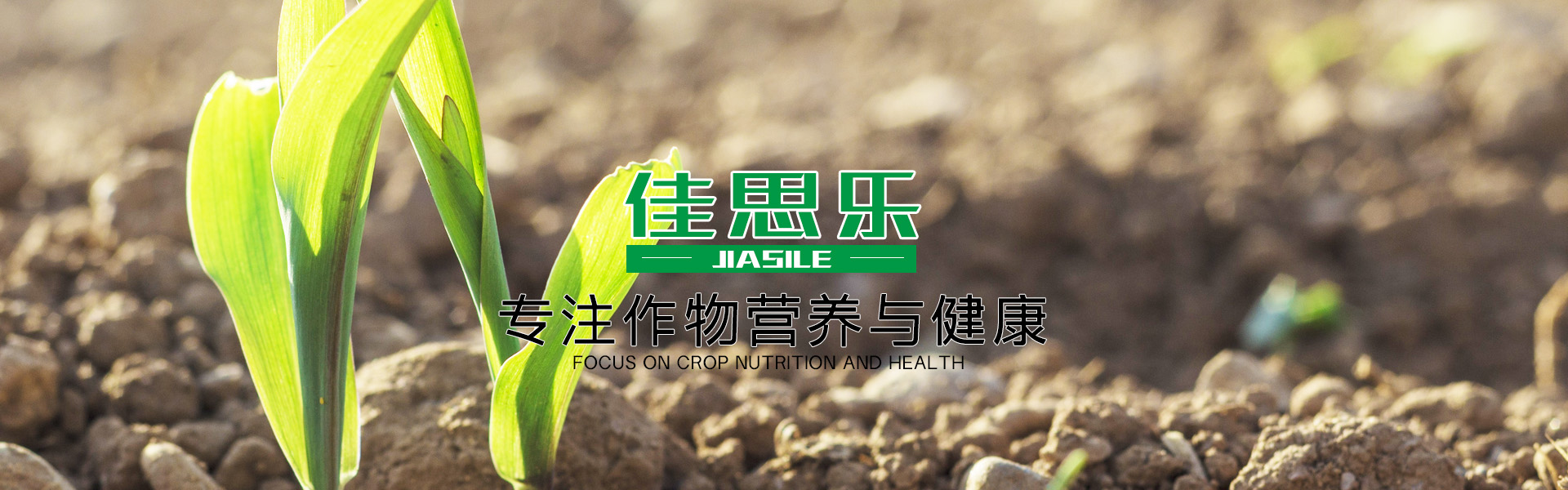 佳思樂(lè)（青島）進(jìn)出口有限公司banner